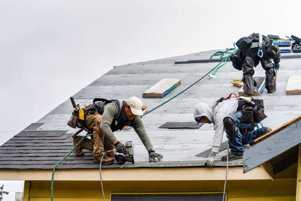 Professional Roof Inspection technician working in Moodus, CT